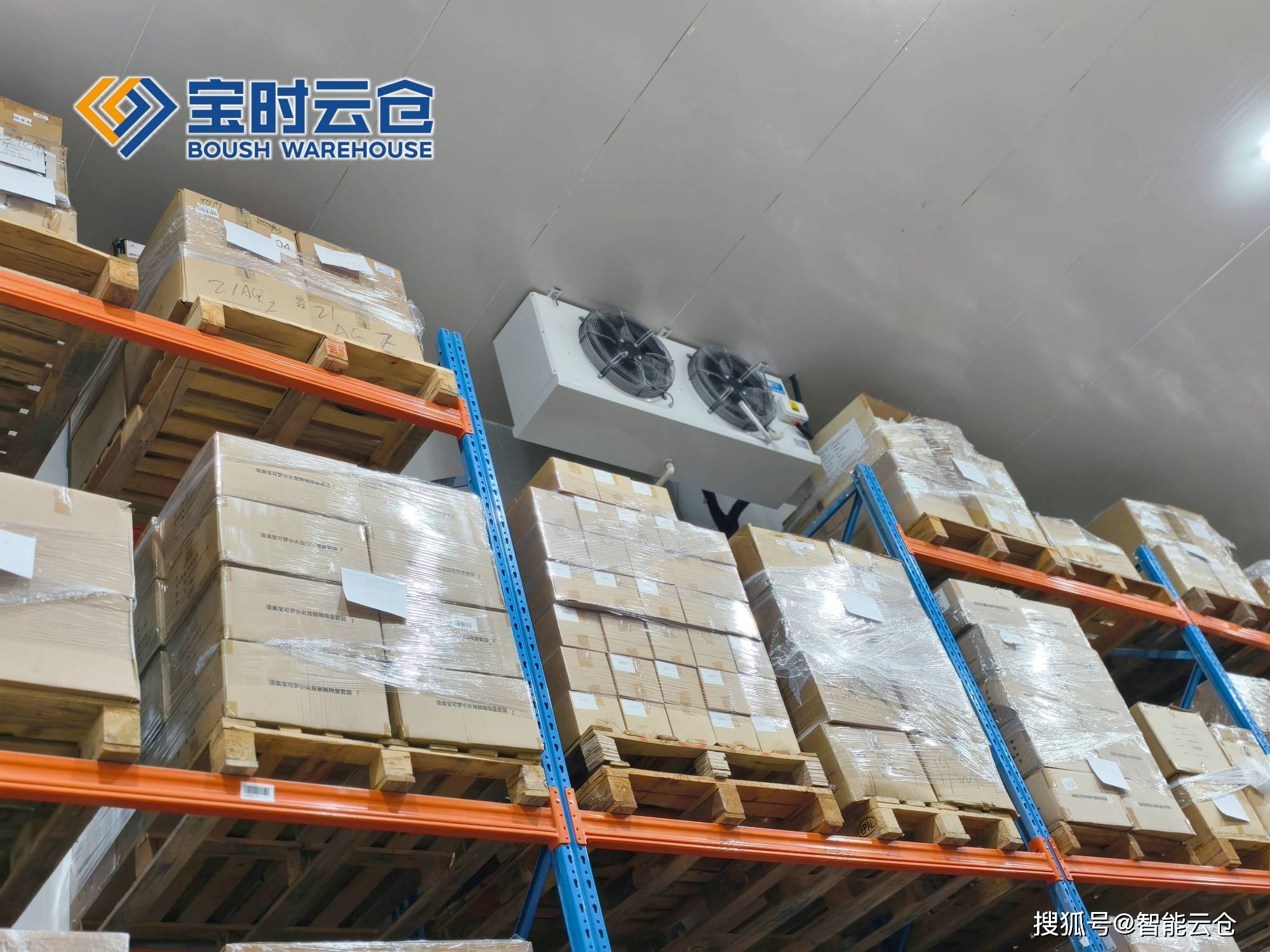 文山市领先物流品牌升级(领先物流服务商是自营物流)
