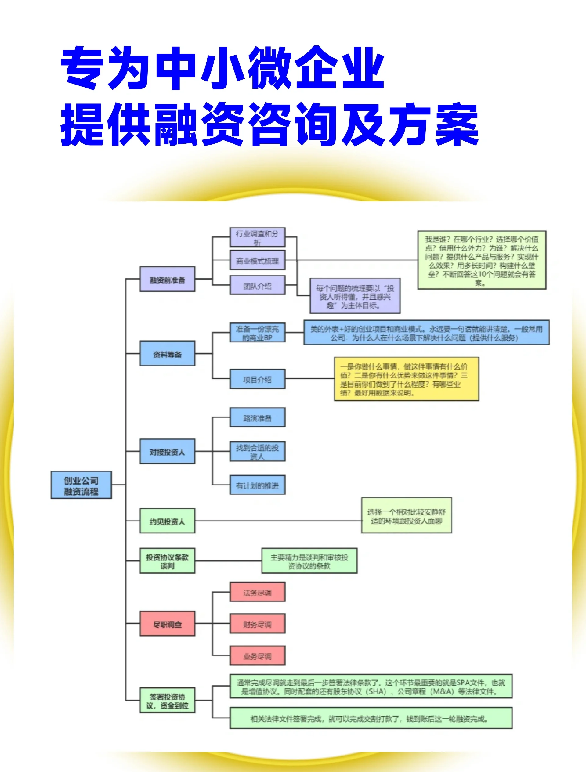 文山市宠物企业资金管理(宠物管理机构叫什么)