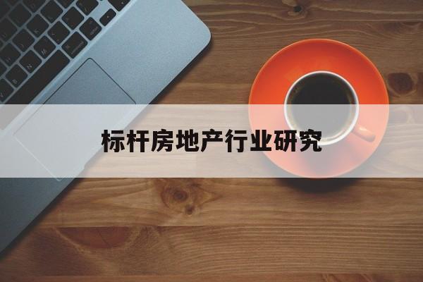 文山市标杆房地产行业研究(房地产领域的标杆人物)