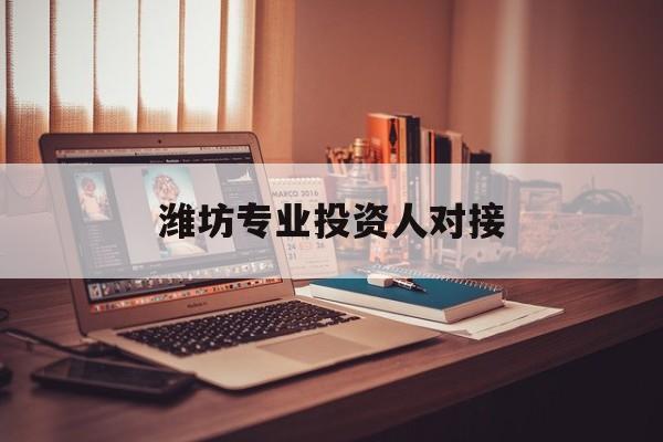 文山市潍坊专业投资人对接(潍坊专业投资人对接中心)