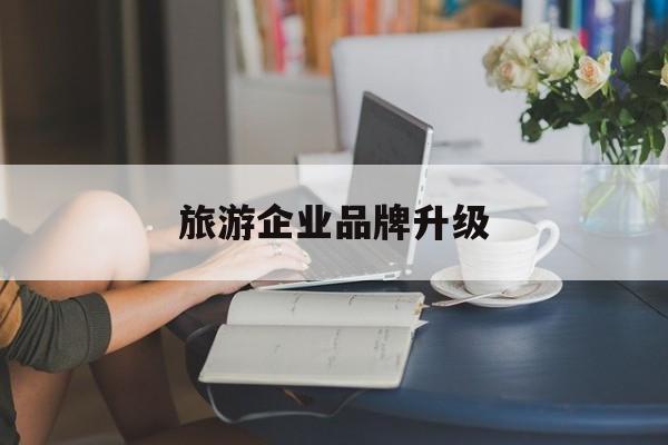 文山市旅游企业品牌升级(旅游企业品牌升级措施)