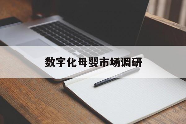 文山市数字化母婴市场调研(数字化母婴市场调研报告)